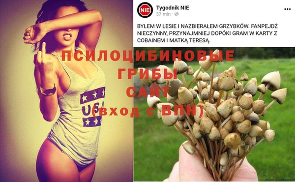 кокаин премиум Беломорск