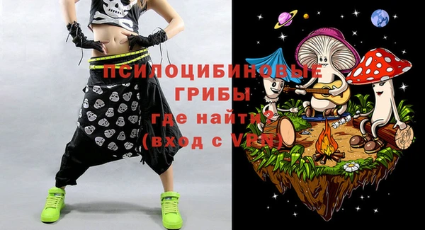 МДПВ Белокуриха