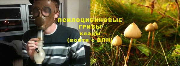 МДПВ Белокуриха