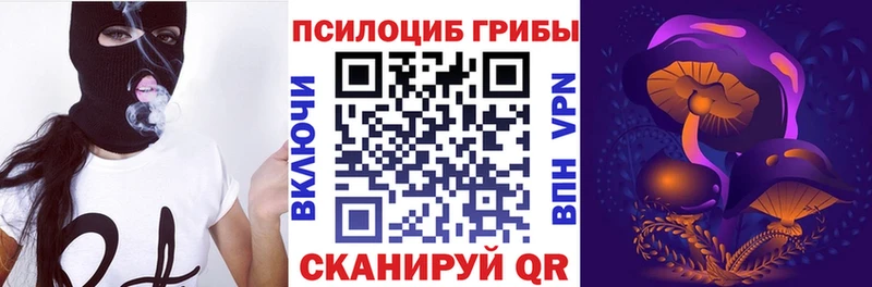 Псилоцибиновые грибы MAGIC MUSHROOMS  Высоцк 